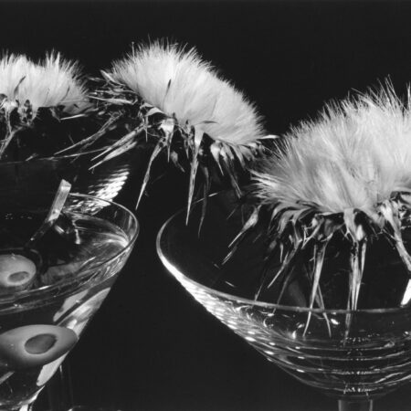 Cocktails Invasive Garnish